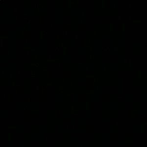 Meet your Posher, Wesley